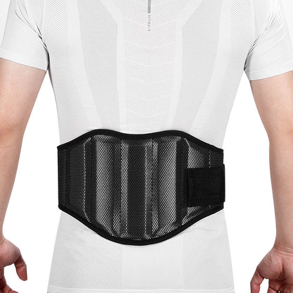 Velthek Ergonomic Back Support for Spine Protection, Vibrant and Flexible